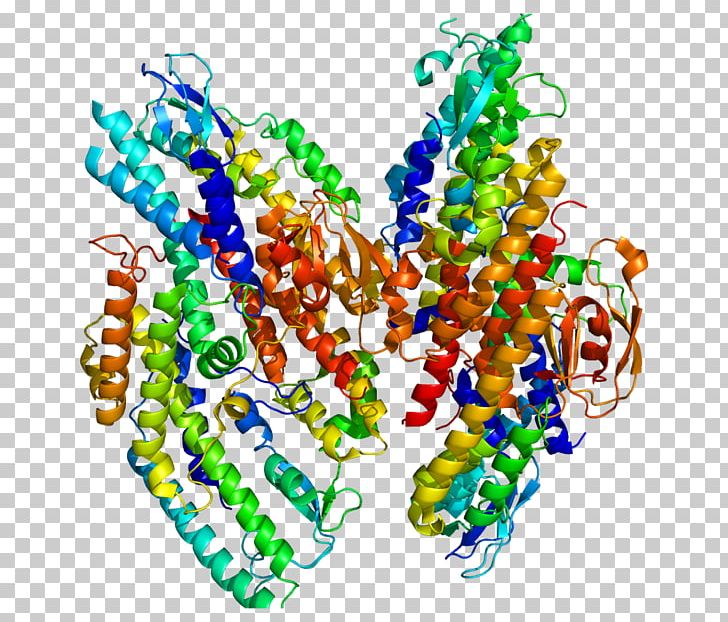 GINS1 GeneCards Ensembl GINS Complex Subunit 1 (Psf1 Homolog) PNG, Clipart, Antibody, Art, Bead, Body Jewelry, Cntnap2 Free PNG Download