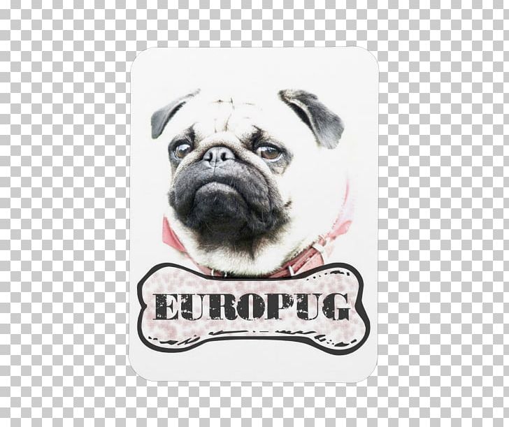 Pug Puppy Dog Breed Samsung Galaxy S5 IPhone 6 PNG, Clipart, Animals, Carnivoran, Dog, Dog Breed, Dog Like Mammal Free PNG Download