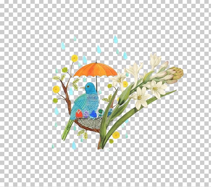 Rain Umbrella Icon PNG, Clipart, Album Cover, Art, Beak, Bird, Bird Cage Free PNG Download