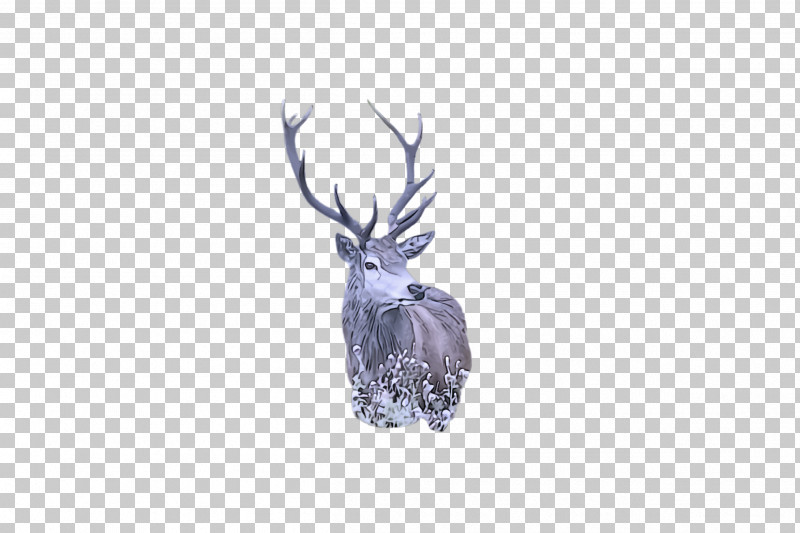 Reindeer PNG, Clipart, Deer, Elk, Reindeer, Wildlife Free PNG Download