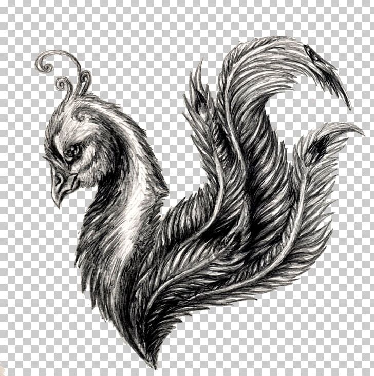 Drawing Peafowl Sketch PNG, Clipart, Animals, Art, Beak, Bird, Black And White Free PNG Download