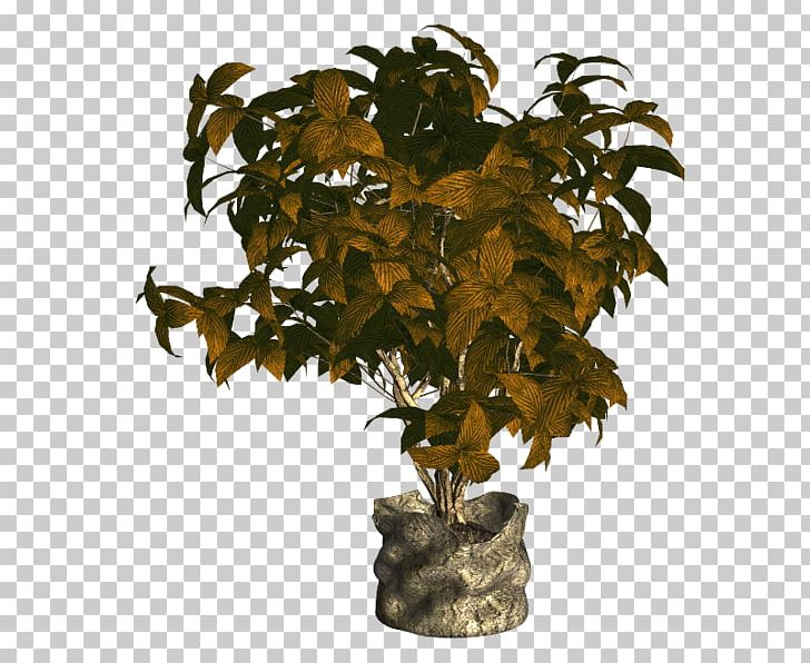 Flowerpot Houseplant Ornamental Plant Tree PNG, Clipart, Flowerpot, Houseplant, Ornamental Plant, Others, Plant Free PNG Download