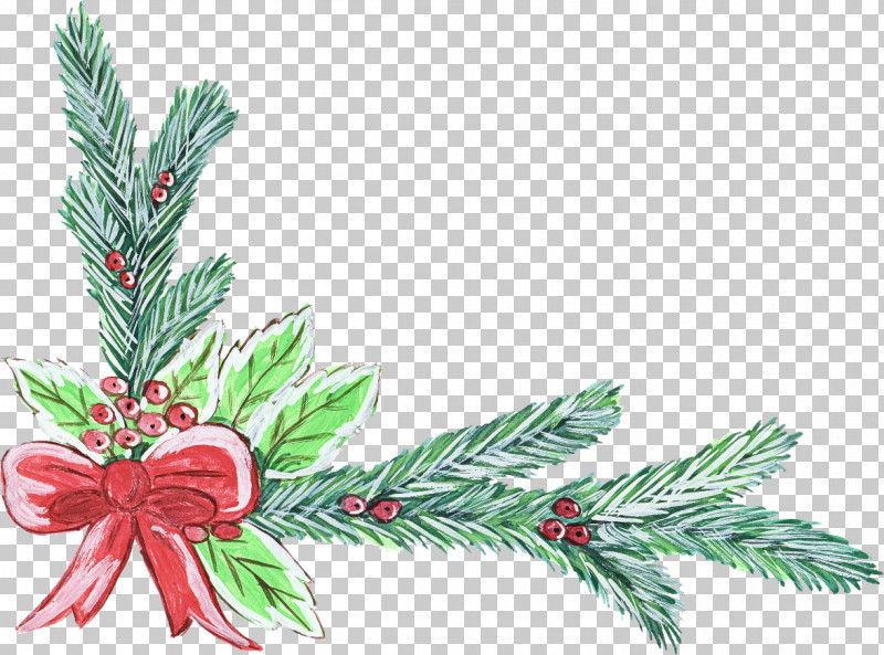 Holly PNG, Clipart, American Larch, Branch, Colorado Spruce, Conifer, Cypress Family Free PNG Download