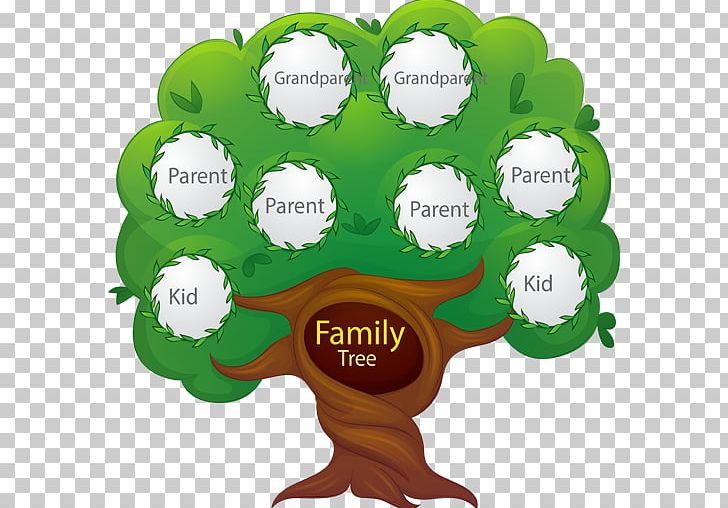 Family Tree Genealogy Portable Network Graphics PNG, Clipart, Adoption, Ball, Family, Family Reunion, Family Tree Free PNG Download