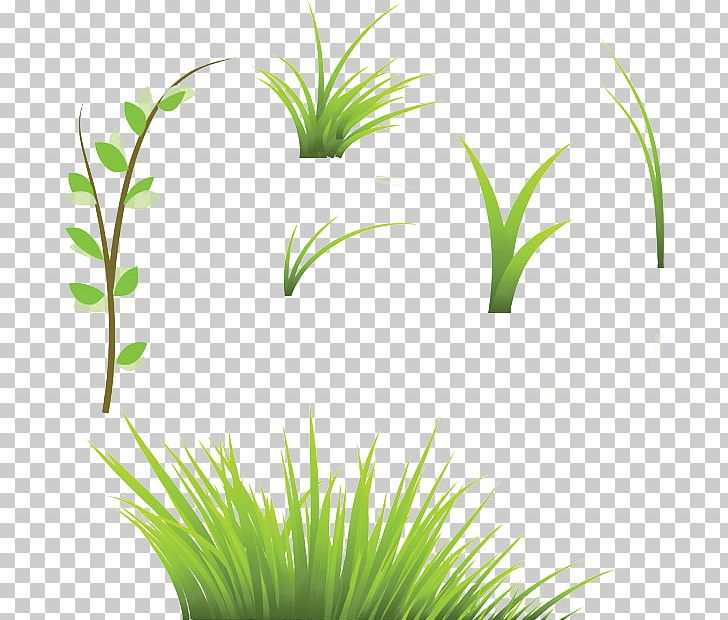 Lawn Stock Photography PNG, Clipart, Aquarium Decor, Artificial Grass, Cartoon Grass, Creative Grass, Drawing Free PNG Download