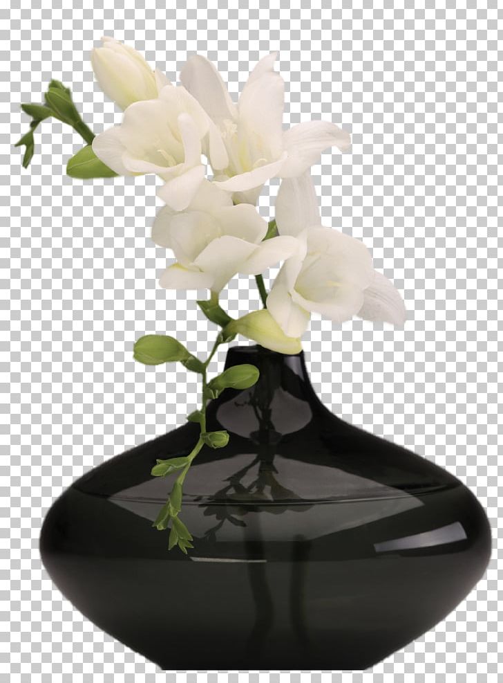 Vase PNG, Clipart, Vase Free PNG Download