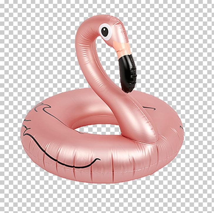 Water Bird Greater Flamingo Inflatable Pink N' Proper PNG, Clipart, Bird, Flamingo, Flamingos, Gittigidiyor, Gold Free PNG Download
