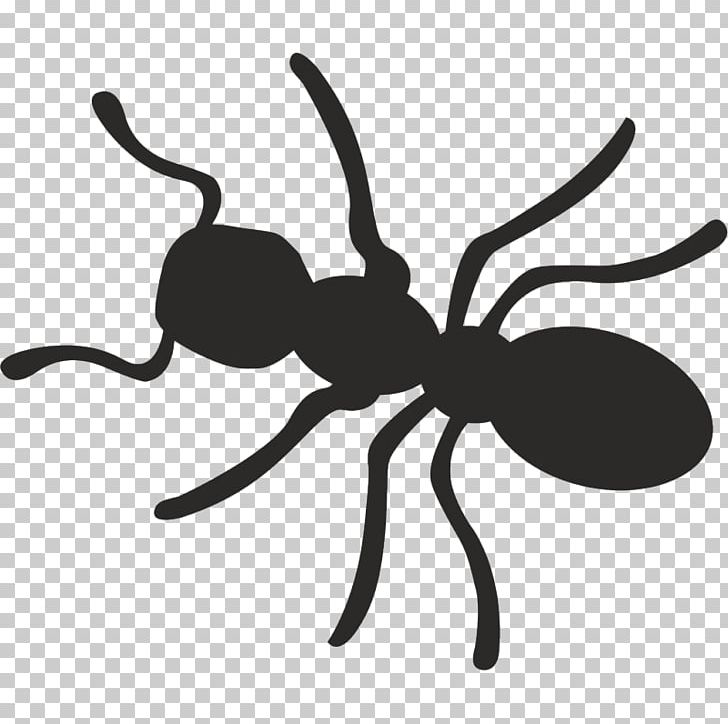 Ant Insect Termite Red Fox PNG, Clipart, Animals, Ant, Arthropod, Artwork, Black And White Free PNG Download
