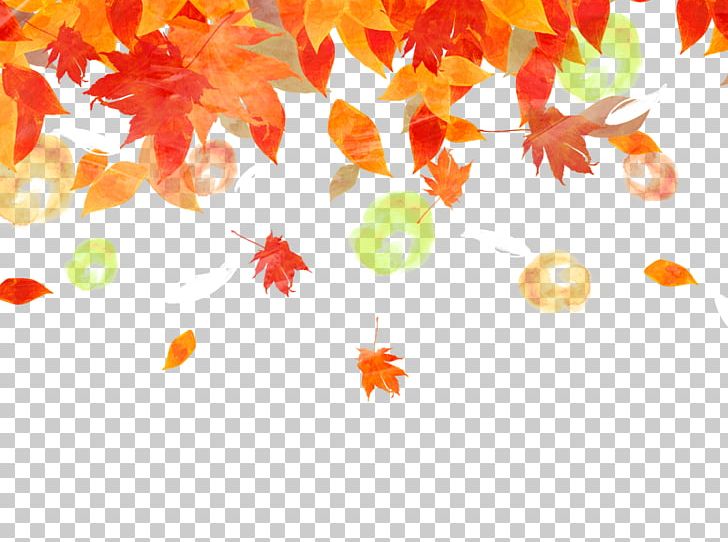 Background Fall Maple Leaf PNG, Clipart, Autumn, Autumn Leaf, Autumn Leaf Color, Autumn Leaves, Background Free PNG Download