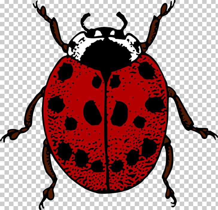 Beetle Ladybird Adrien Agreste PNG, Clipart, Adrien Agreste, Animals, Arthropod, Artwork, Beetle Free PNG Download