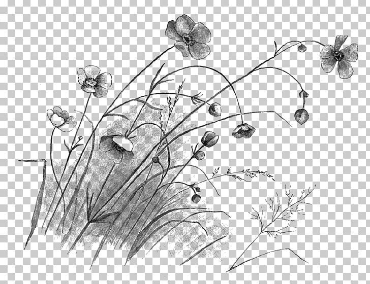 Flower Line Drawing Clip Art Free, Transparent PNG Clipart Images Free  Download - ClipartMax
