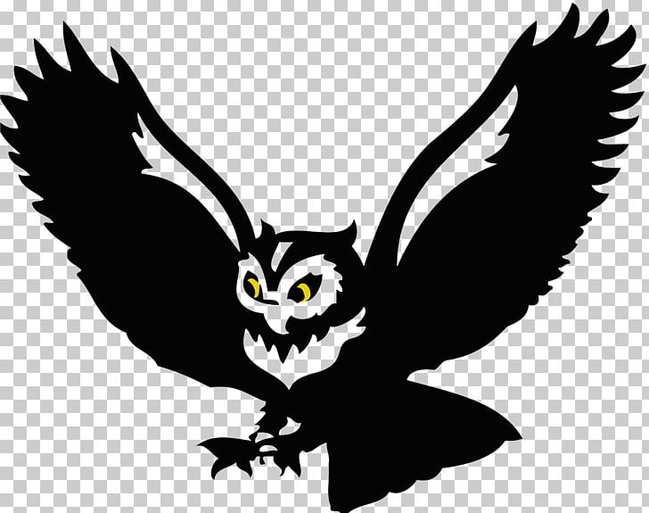 Owl Drawing Bird PNG, Clipart, Animal, Art, Barn Owl, Beak, Bird Free PNG Download