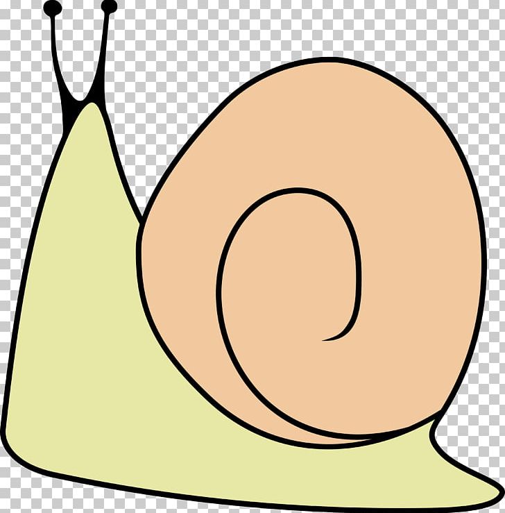 Snail Gastropods Invertebrate PNG, Clipart, Animals, Area, Artwork, Gastropods, Invertebrate Free PNG Download