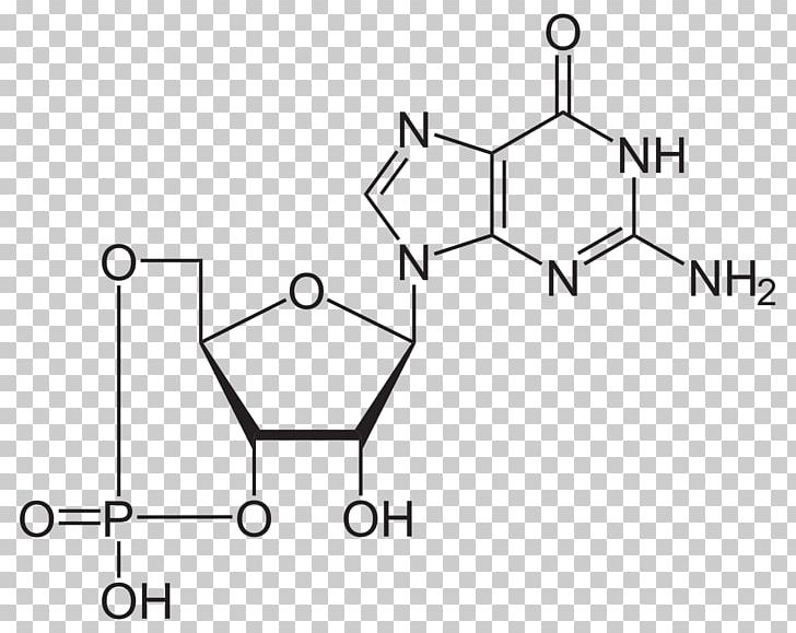 Adenosine Triphosphate Structure Cyclic Guanosine Monophosphate Molecule Deoxyguanosine PNG, Clipart, Adenosine, Adenosine Triphosphate, Angle, Area, Atom Free PNG Download