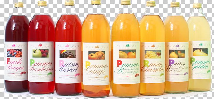 Apple Juice Liqueur Fruchtsaft Grape PNG, Clipart, Apple, Apple Juice, Auglis, Barbados Cherry, Bottle Free PNG Download