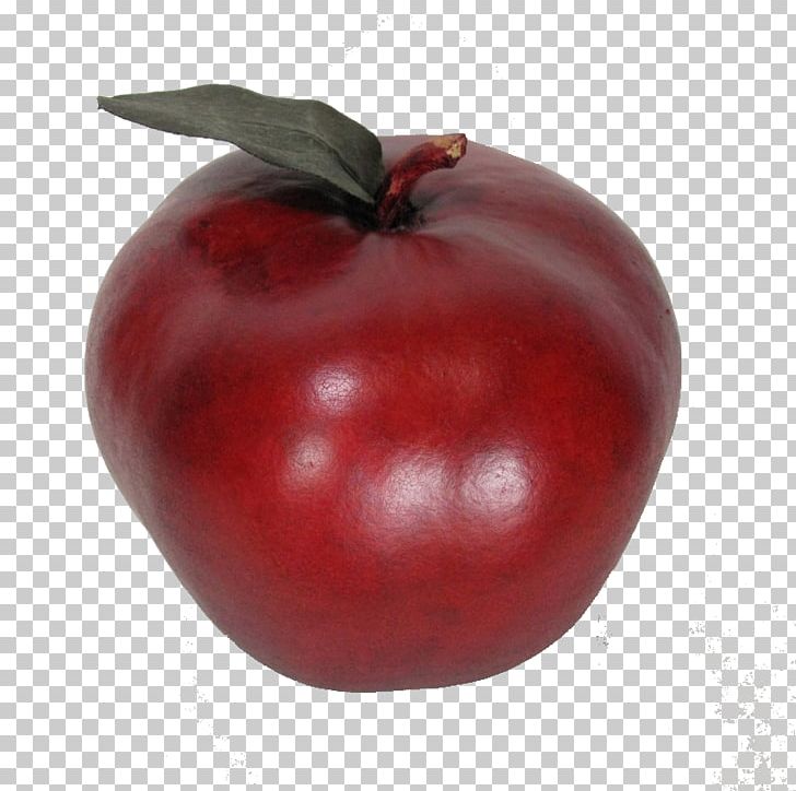 Bush Tomato Barbados Cherry Cranberry Accessory Fruit PNG, Clipart, Acerola, Acerola Family, Apple, Barbados Cherry, Berry Free PNG Download