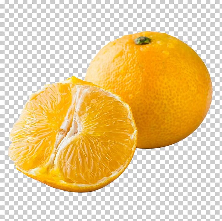 Clementine Mandarin Orange Tangerine Tangelo PNG, Clipart, Bitter Orange, Chenpi, Citric Acid, Citron, Citrus Free PNG Download