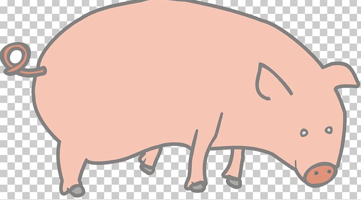 Pig PNG, Clipart, Animal Figure, Animals, Cartoon, Cattle Like Mammal, Domestic Pig Free PNG Download