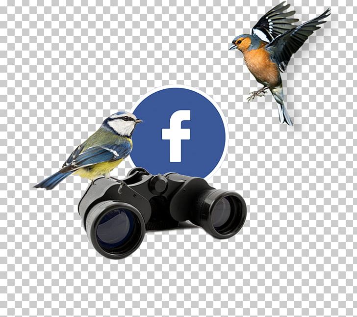 Technology Beak PNG, Clipart, All About, Beak, Bird, Electronics, Facebook Page Free PNG Download