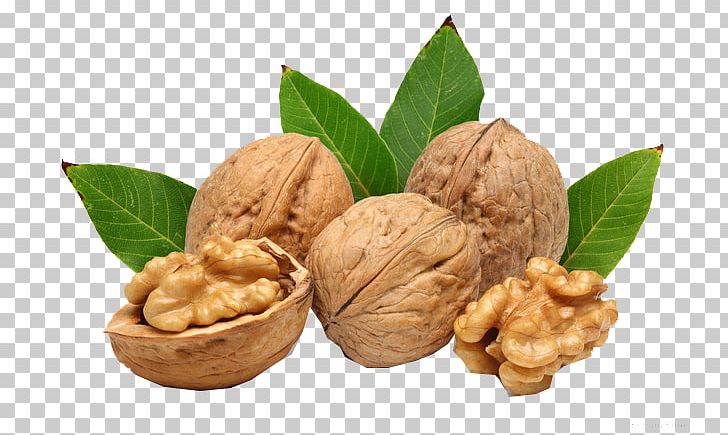 Walnut Nutcracker PNG, Clipart, Dried Fruit, English Walnut, Flavor, Food, Fruit Nut Free PNG Download