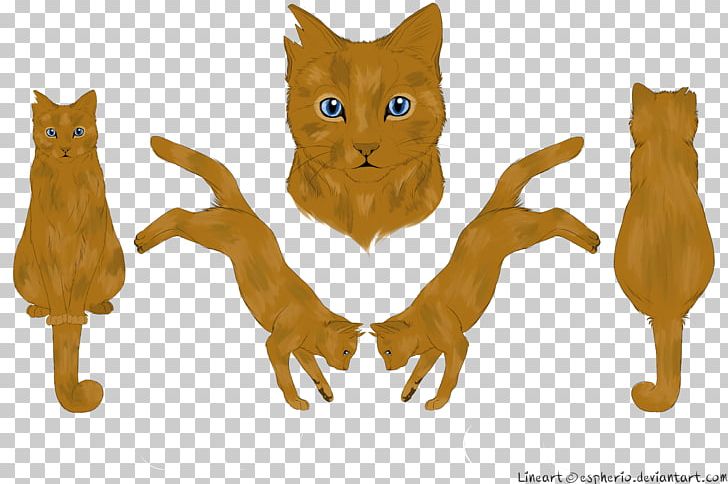 Kitten Whiskers Cats Of The Clans Warriors PNG, Clipart, Animals, Art, Ashfur, Carnivoran, Cat Free PNG Download