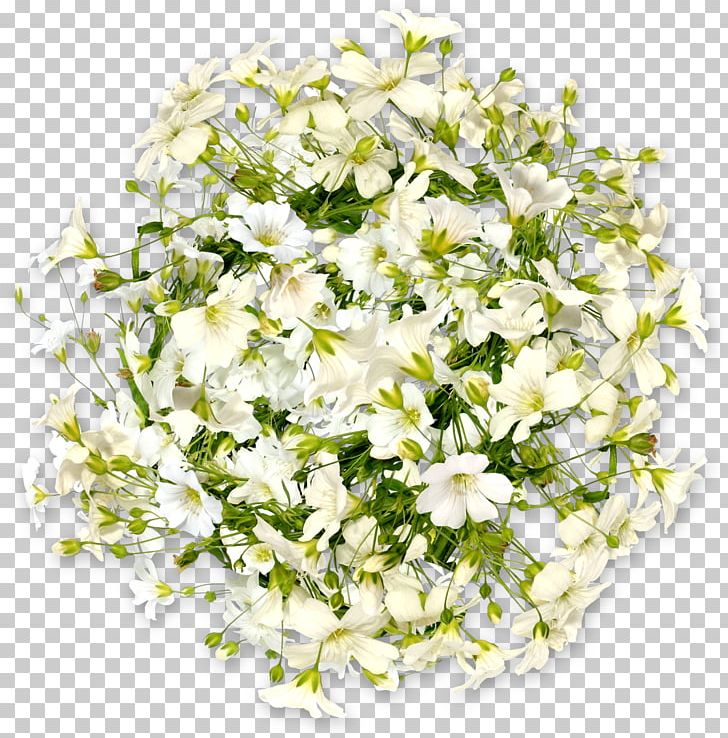 Marriage Frames Floral Design PNG, Clipart, Cut Flowers, Fleur, Floral Design, Floristry, Flower Free PNG Download