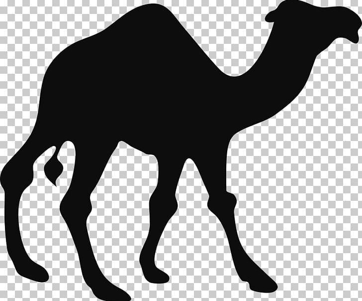 Bactrian Camel Dromedary Silhouette PNG, Clipart, Animals, Arabian Camel, Bactrian Camel, Black And White, Camel Free PNG Download