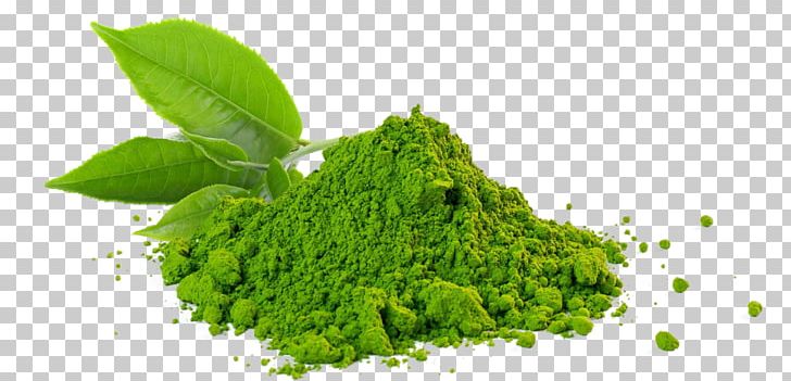 Matcha Green Tea Sencha Gyokuro PNG, Clipart, Chinese Tea, Food, Green Tea, Gyokuro, Herb Free PNG Download