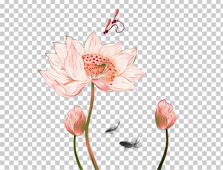 Nelumbo Nucifera Drawing Ink Wash Painting Chinese Painting PNG, Clipart, Blossom, Christmas Decoration, Cut Flowers, Decorative, Flora Free PNG Download