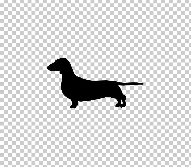 The Dachshund Labrador Retriever German Wirehaired Pointer Hot Dog PNG, Clipart, Black, Black And White, Breed, Carnivoran, Dachshund Free PNG Download