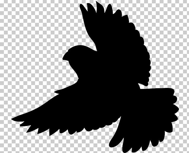 Bird Silhouette PNG, Clipart, Beak, Bird, Bird Of Prey, Black And White, Common Blackbird Free PNG Download