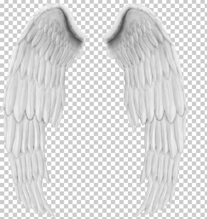 Feather Angel PNG, Clipart, Angel, Angel Wings, Animals, Art, Beak Free PNG Download