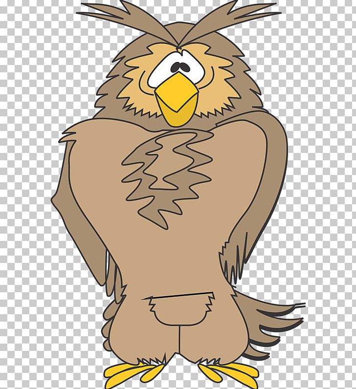 Owl Eagle Hawk Beak PNG, Clipart, Beak, Bird, Bird Of Prey, Character, Eagle Free PNG Download