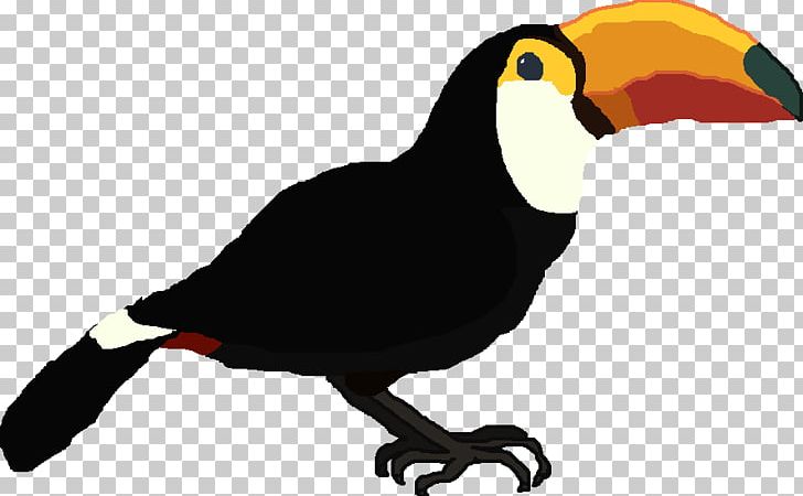 Bird Toucan Beak Piciformes Vulture PNG, Clipart, Animal, Animals, Beak, Bird, Fauna Free PNG Download