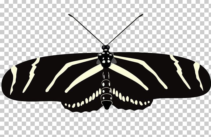 Monarch Butterfly The Florida Native Butterfly Society Conservatory The Butterfly Estates Moth PNG, Clipart, Arthropod, Black And White, Brush Footed Butterfly, Butterfly, Category Free PNG Download