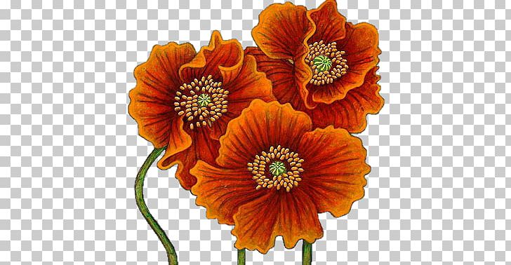 Poppy Watercolor Painting Flower Drawing PNG, Clipart, Andy Warhol, Annual Plant, Art, Blume, Cicek Free PNG Download