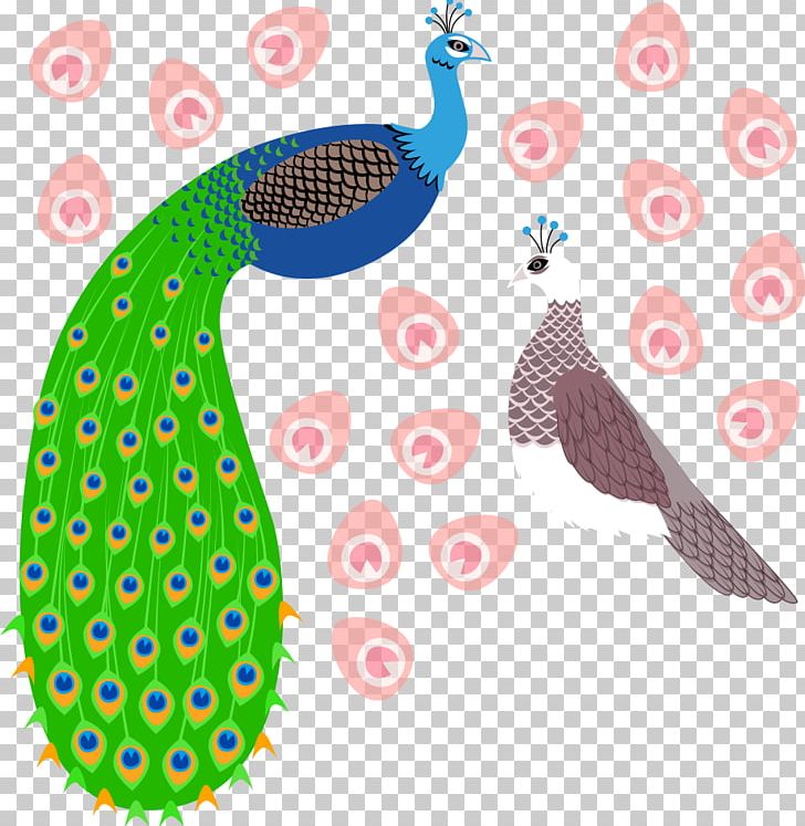 Bird Peafowl Vecteur PNG, Clipart, Animals, Asiatic Peafowl, Beak, Bird Cage, Birds Free PNG Download