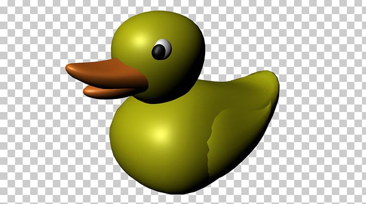Duck Beak Green PNG, Clipart, Animals, Assignment, Beak, Bird, Cartoon Free PNG Download