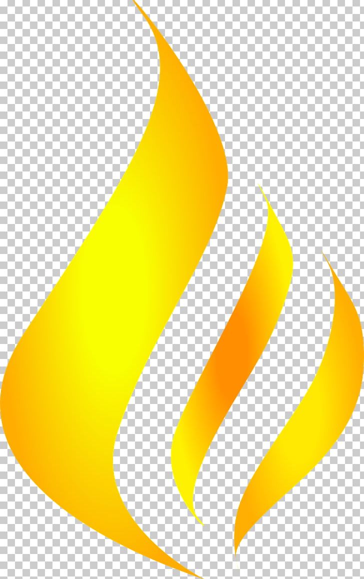 Flame Fire PNG, Clipart, Angle, Burn, Color, Combustibility And Flammability, Computer Icons Free PNG Download