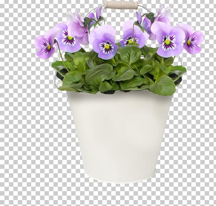 Flower Pansy PNG, Clipart, Abitant, Cut Flowers, Flower, Flower Bouquet, Flowering Plant Free PNG Download