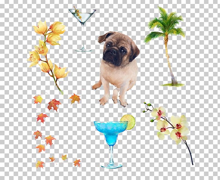 Puggle Puppy Dog Breed Companion Dog PNG, Clipart, Adobe Illustrator, Animals, Carnivoran, Dog, Dog Breed Free PNG Download