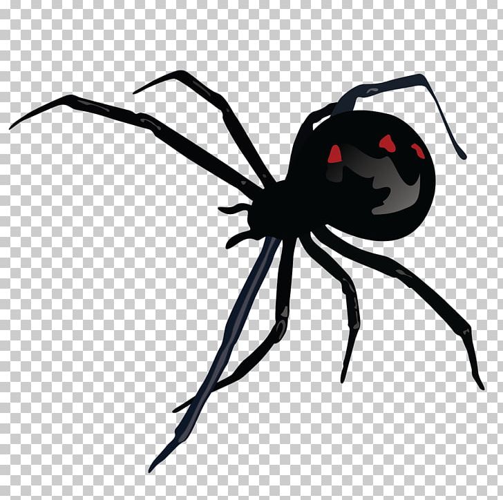 Southern Black Widow Spider Bite Black Widow M STX G.1800E.J.M.V.U.NR YN PNG, Clipart, Animal Bite, Arachnid, Arthropod, Black And White, Black Widow Free PNG Download