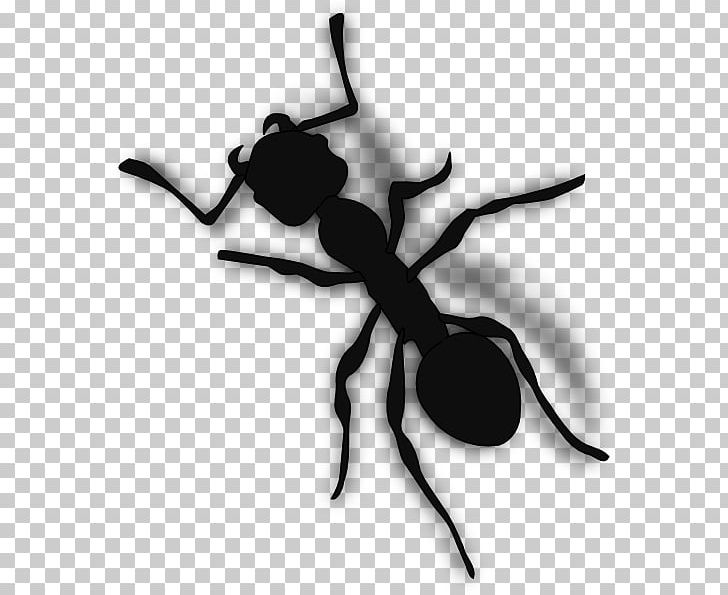 Ant PNG, Clipart, Ant, Arthropod, Black And White, Cartoon, Computer Icons Free PNG Download