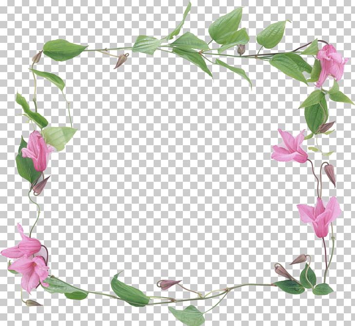 Conte Tea Frames Flower Floral Design PNG, Clipart, Blossom, Branch, Conte, Cooking, Flora Free PNG Download