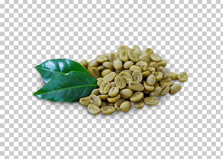 Green Coffee Extract Green Tea Cafe PNG, Clipart, Arabica Coffee, Bean, Cafe, Caffe, Coffee Free PNG Download