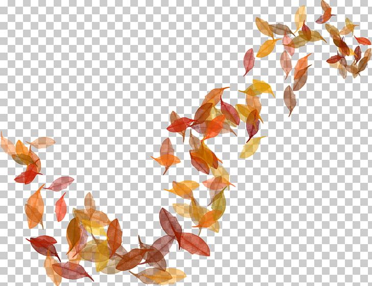 Leaf PNG, Clipart, Autumn, Book, Computer Software, Digital Image, Falling Free PNG Download