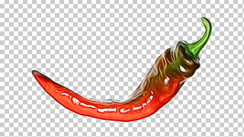 Serrano Pepper Cayenne Pepper Pasilla Chili Pepper Vegetable PNG, Clipart, Cayenne Pepper, Chili Pepper, Ingredient, Paint, Pasilla Free PNG Download