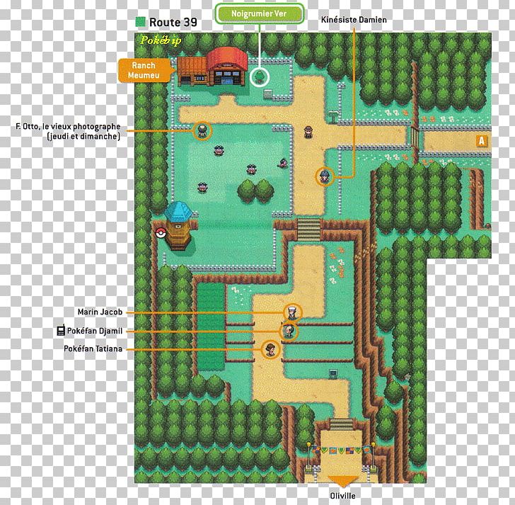 Pokémon HeartGold And SoulSilver Pokémon Gold And Silver Pokémon Crystal Pokémon X And Y PNG, Clipart, Area, Floor Plan, Games, Gaming, Grass Free PNG Download