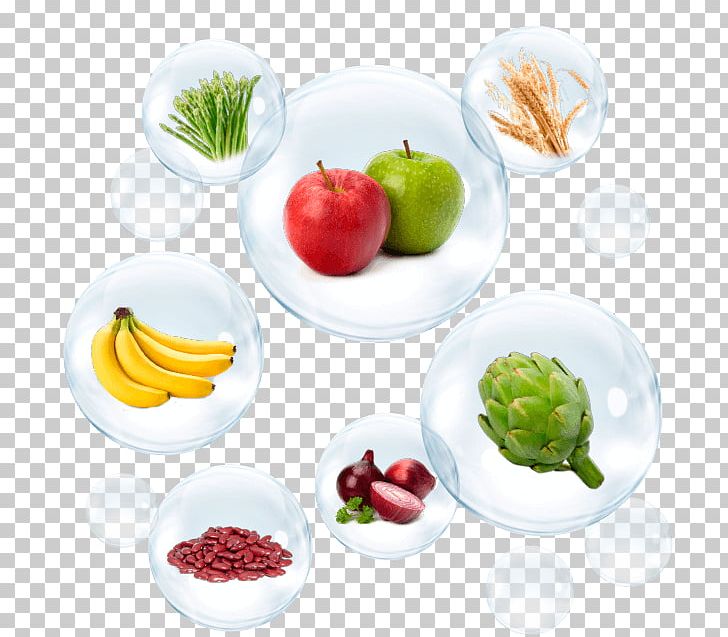 Prebiotic Probiotic Food Inulin Bifidobacterium PNG, Clipart, Bifidobacterium, Chicory, Diet, Diet Food, Dish Free PNG Download