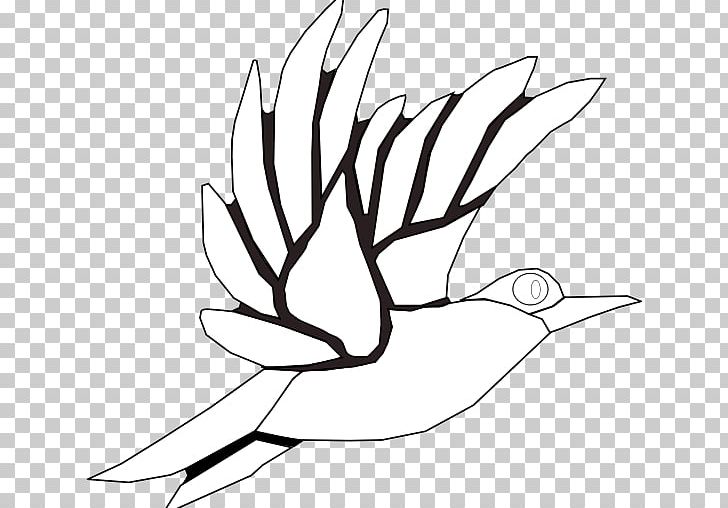 Coloring Book Black And White Line Art Drawing PNG, Clipart, Adult, Art, Artwork, Beak, Black And White Free PNG Download